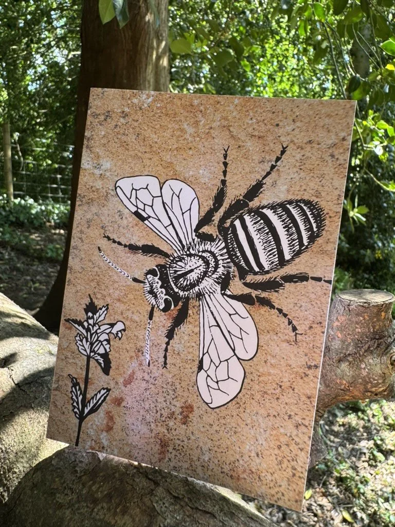 Mason Bee Card on Log.jpg