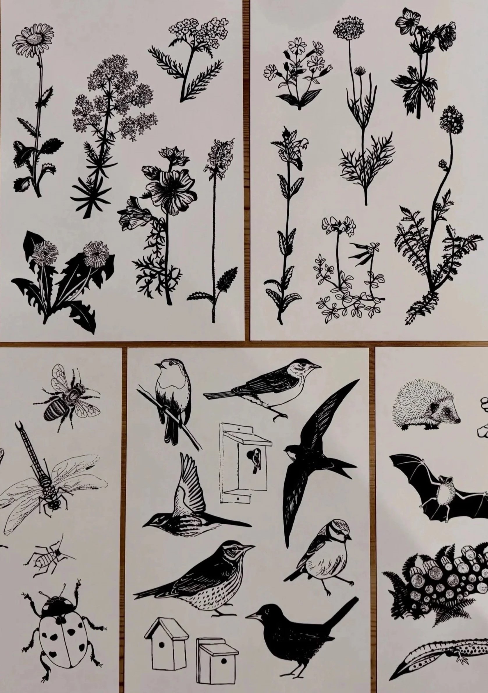 COMMISSIONS & COLLABS