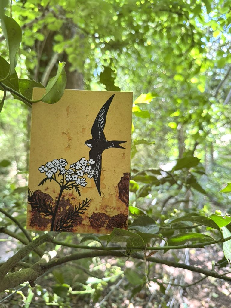 Swift Card in Holly Branches 2.jpg