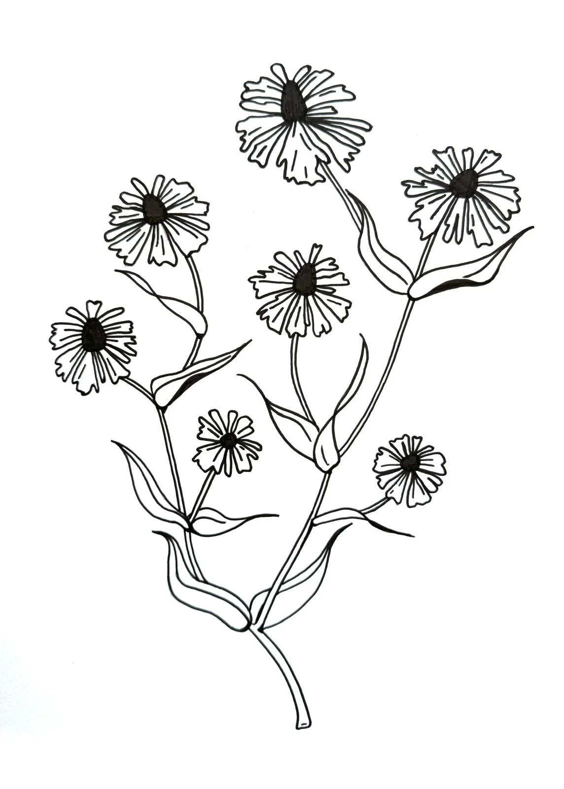 Original artwork for 'Flowers by Passion 'branding by Usher Studio