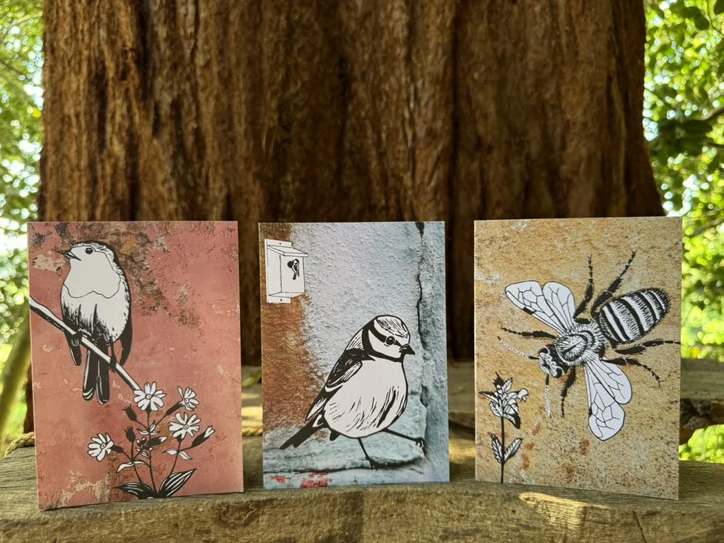 Robin Card with Friends on Redwood.jpg