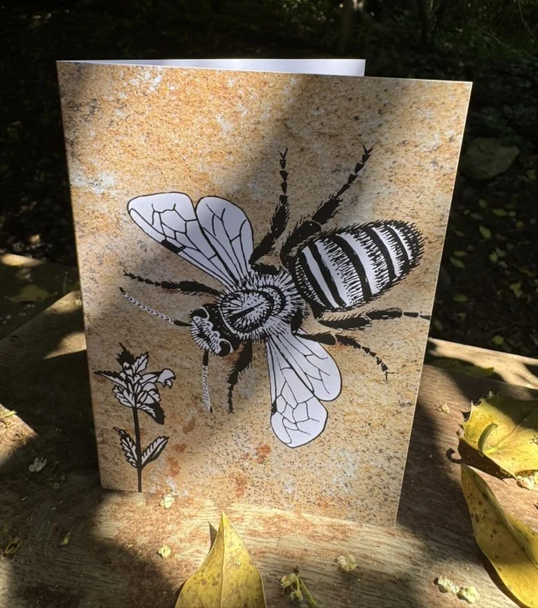 Mason Bee & Yellow Rattle A6 Card