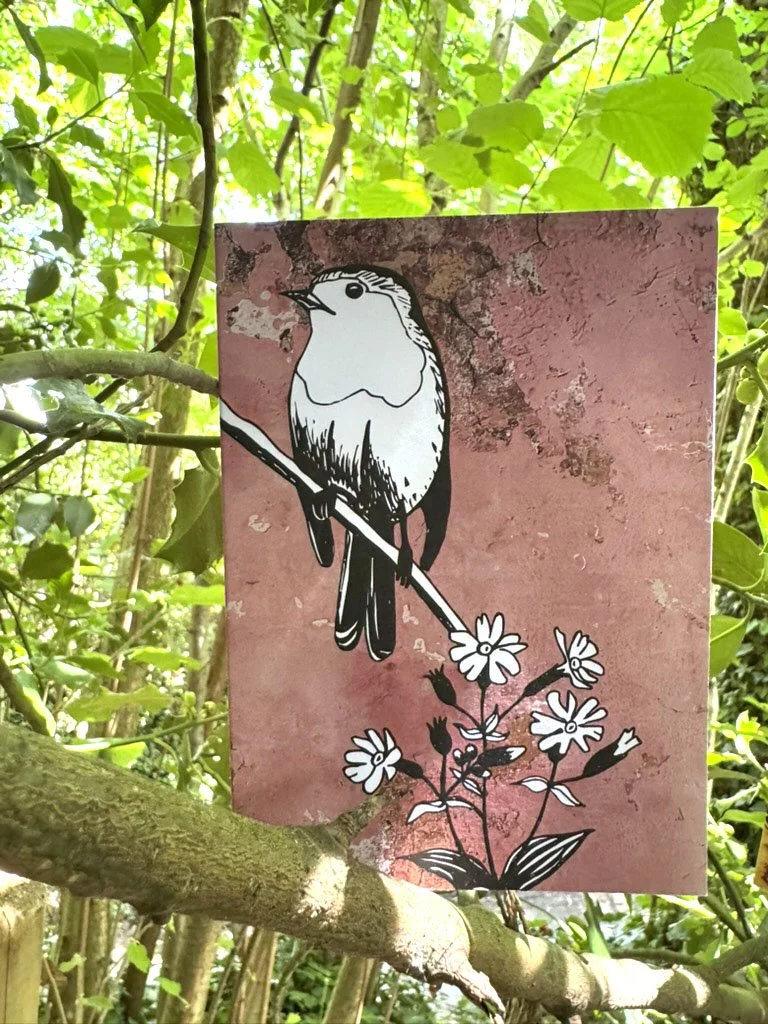 Robin Card on Branch.jpg
