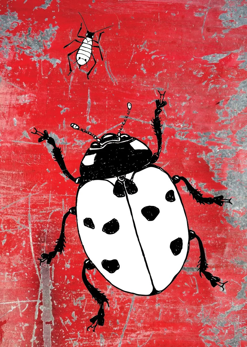 Ladybird & Aphid Flat Image.jpg