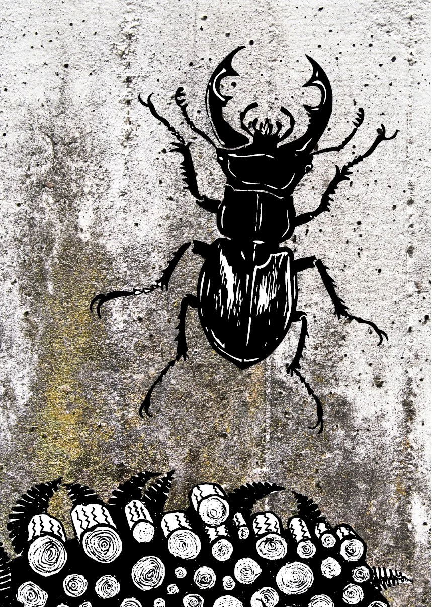 Stag Beetle Flat Image.jpg