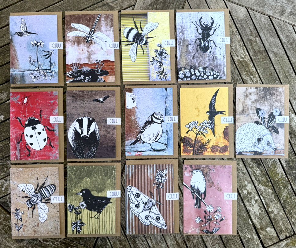 13 Cards on Table.jpg (Copy) (Copy)