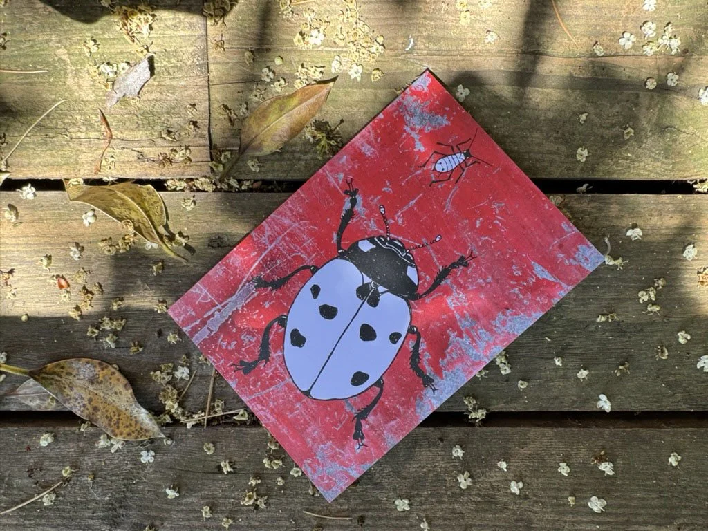 Ladybird Card on Decking.jpg