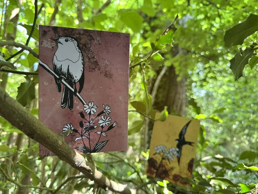 Robin Card with Swift Card Behind.jpg