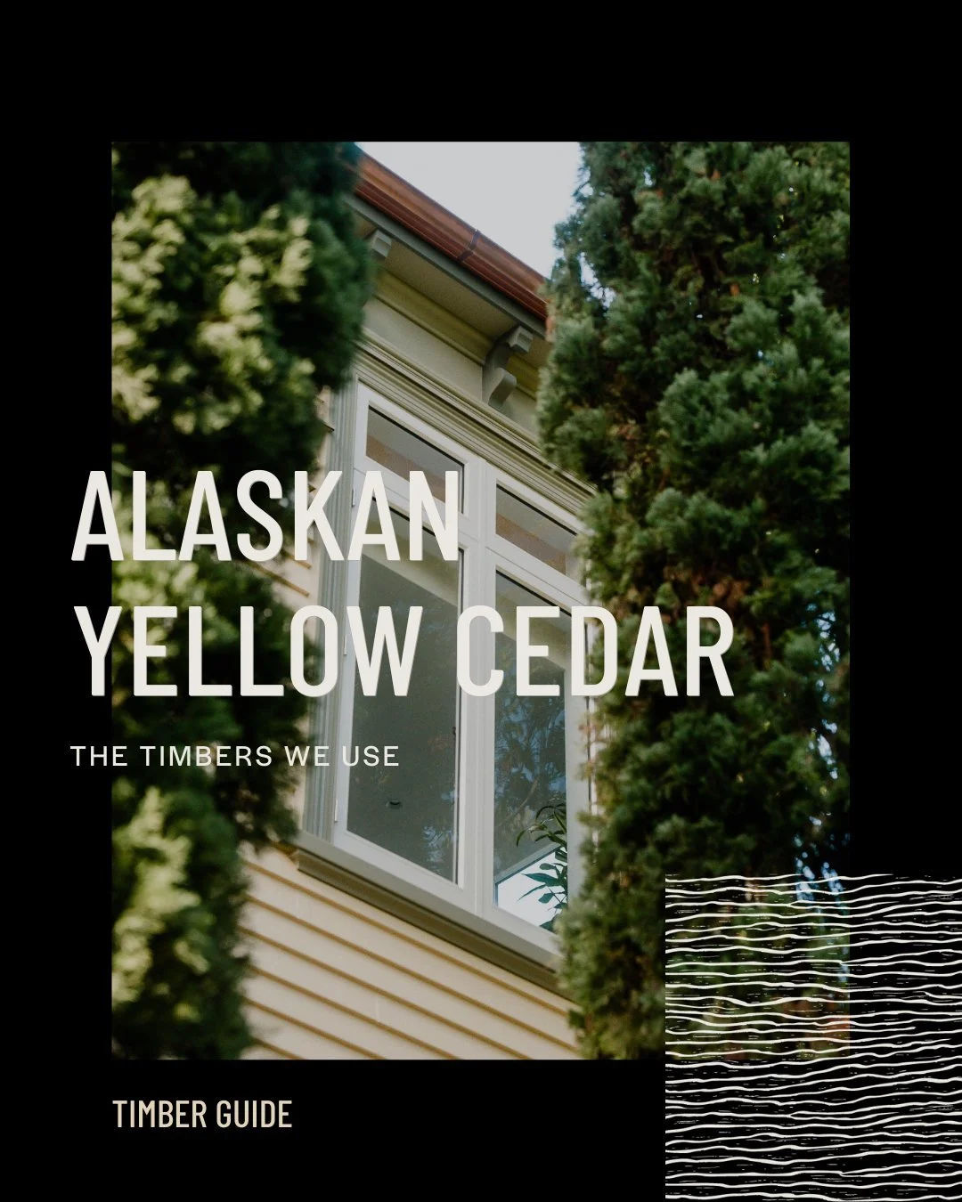 Material Feature: Alaskan Yellow Cedar

Alaskan Yellow Cedar is a timber we regularly choose for joinery, and for good reason.

Sourced from the forests of Canada and Southeast Alaska, it offers a rare balance of strength, stability, and workability.