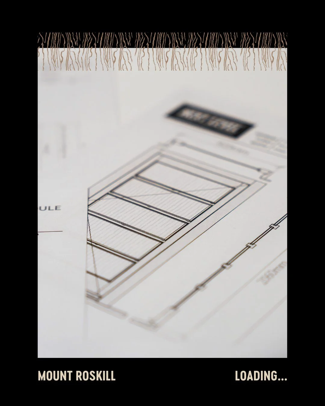 New project loading....

@neobuild_nz

#NextLevelJoinery
