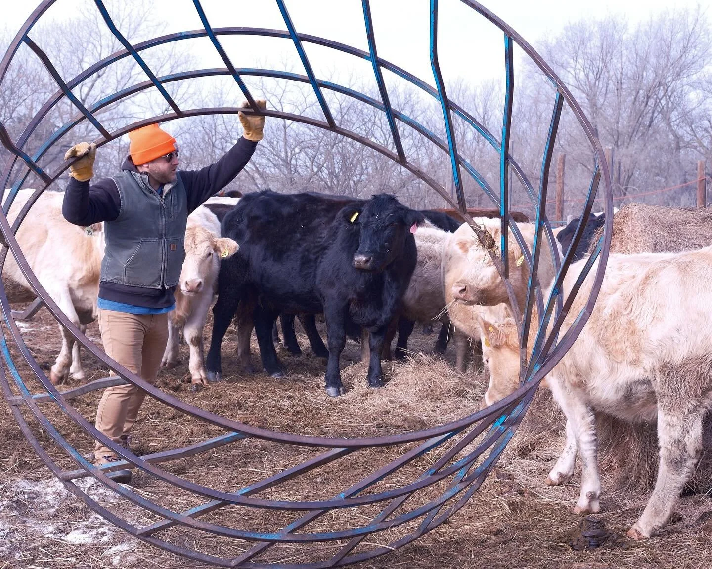 It&rsquo;s a good thing the ground was still frozen today or @ryanklataske might have needed you to &ldquo;bale&rdquo; him out of a muddy mess.

Come say &ldquo;hay&rdquo; this Saturday from 10-2 at the winter market inside the warm and cozy @manhatt
