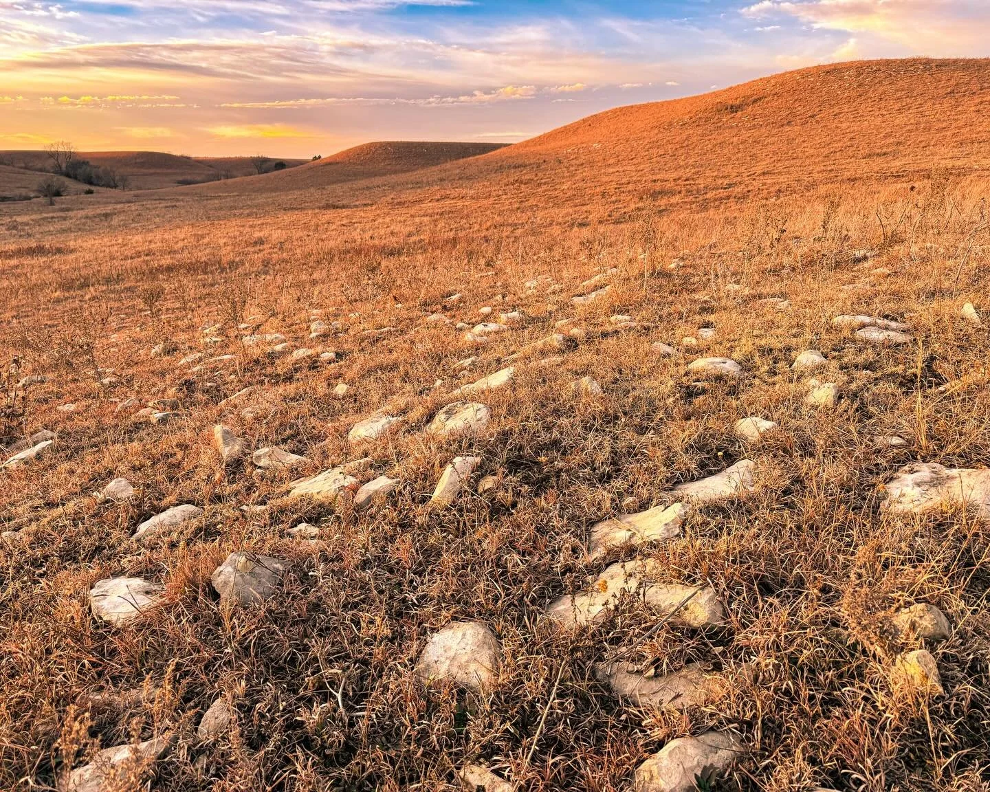 We were quiet this past year&mdash;not because we stopped ranching or caring for the land, but because we sold out of beef much quicker than expected. Raising grass-fed, grass-finished cattle on native prairie is inherently seasonal and sometimes tha