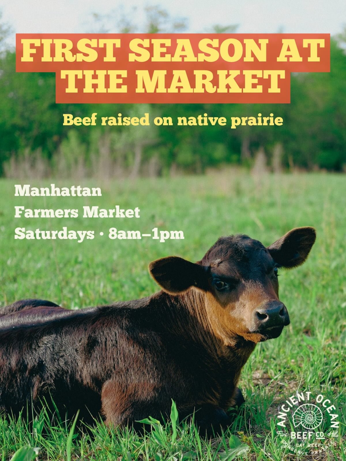 We&rsquo;re excited to be joining the Manhattan Farmers Market this season.

It&rsquo;s a new step for us, and we&rsquo;re looking forward to seeing old pals, connecting with our community, and sharing grass-fed and finished beef raised right here in