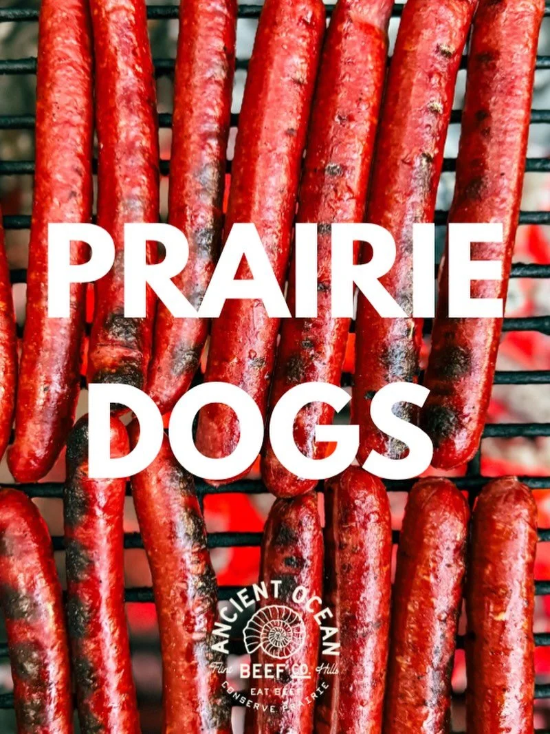 Hot dogs from the prairie.

Crafted with our regeneratively raised, grass-fed and finished beef and fresh pork, these juicy, flavorful hot dogs are a serious upgrade on the standard grocery store version.

Available in original and cheddar, our small