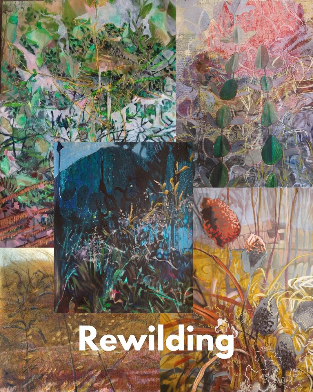 Rewilding.jpg