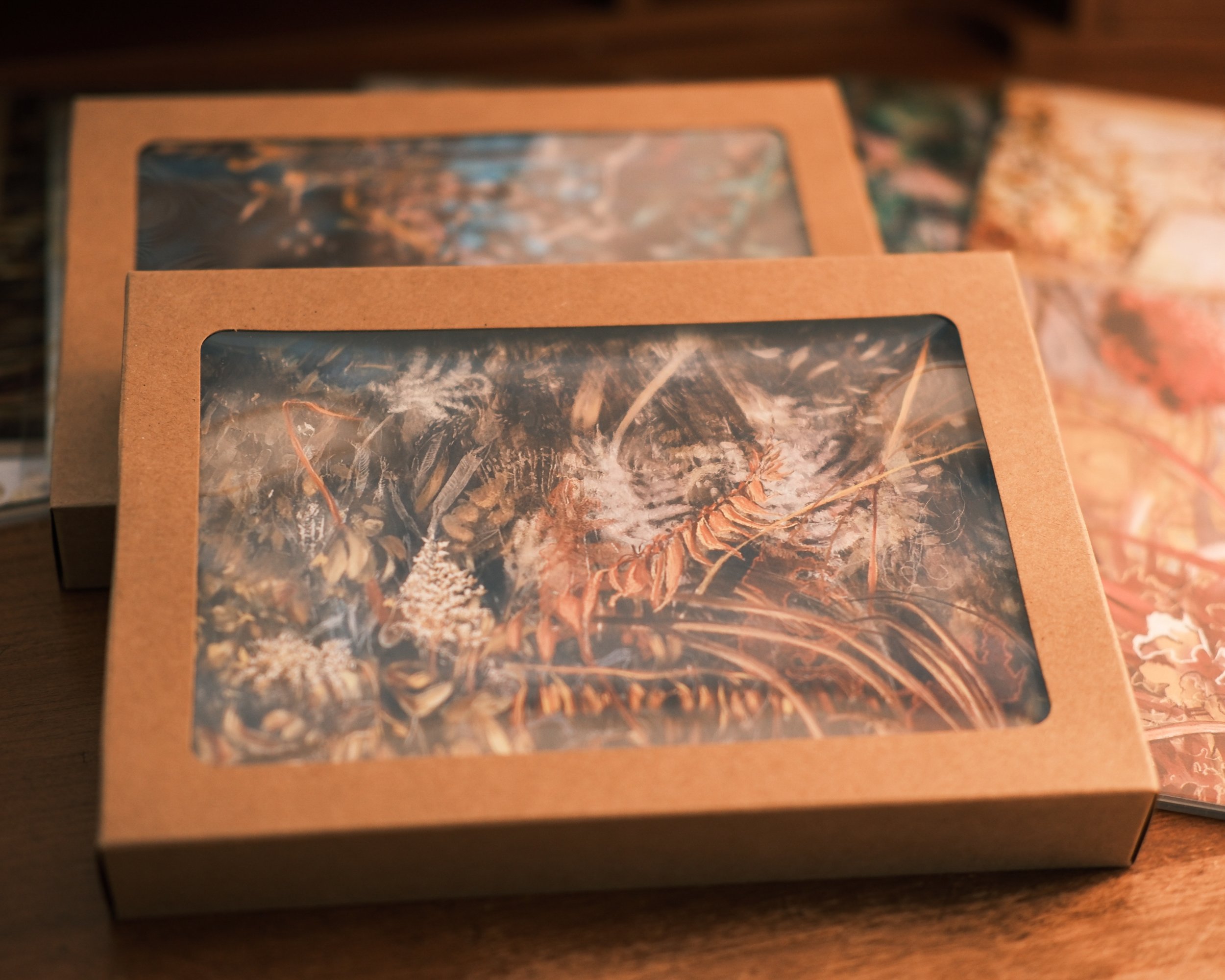 Prairie Art Cards 2026 boxes.JPG