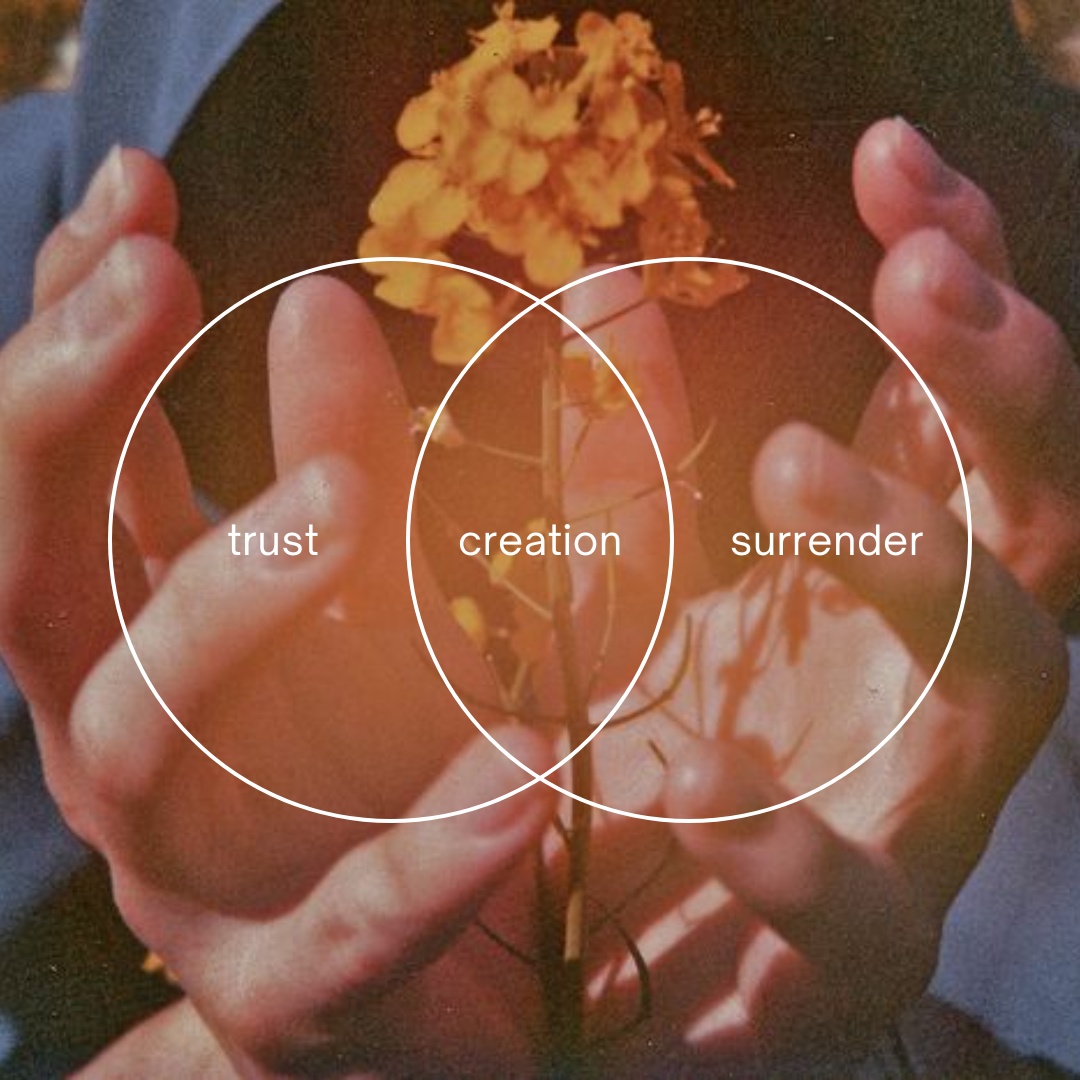 trust-creation-surrender.png