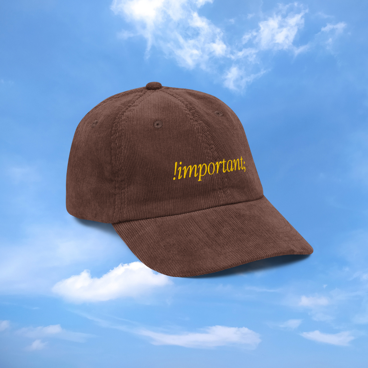 The Important Hat 1.png