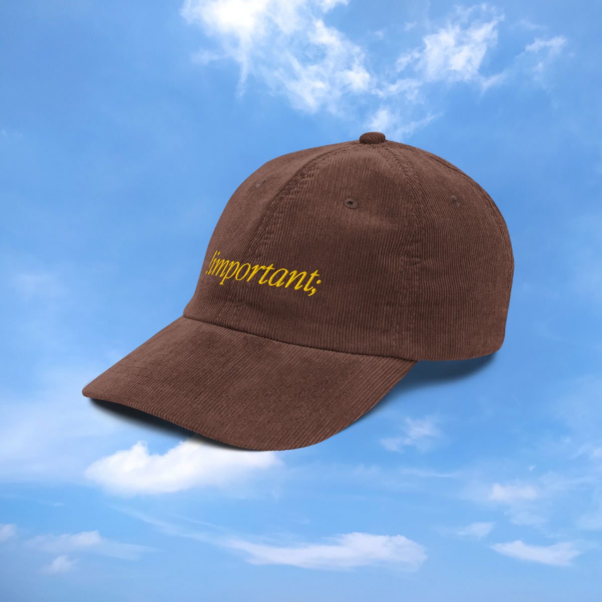 The Important Hat 4.png