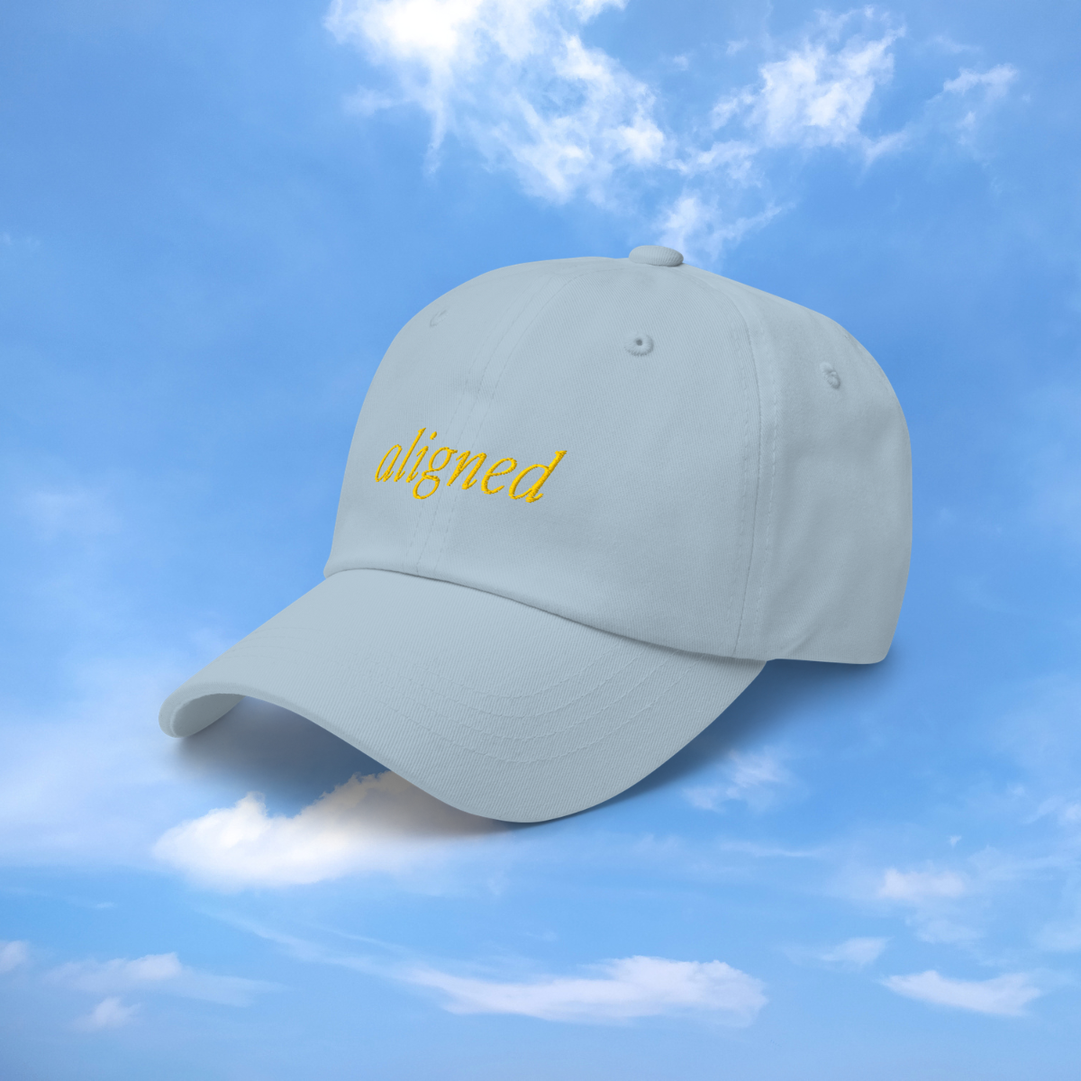 The Aligned Hat 4.png