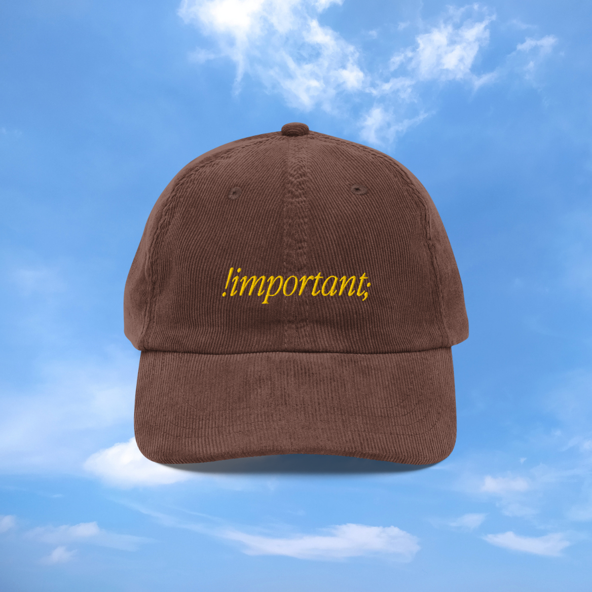 The Important Hat