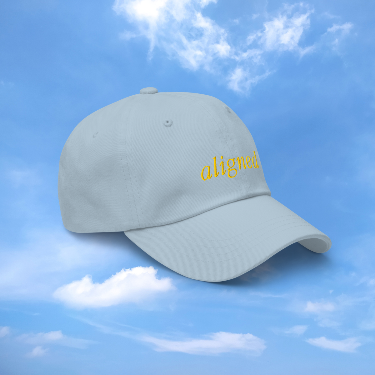 The Aligned Hat 3.png