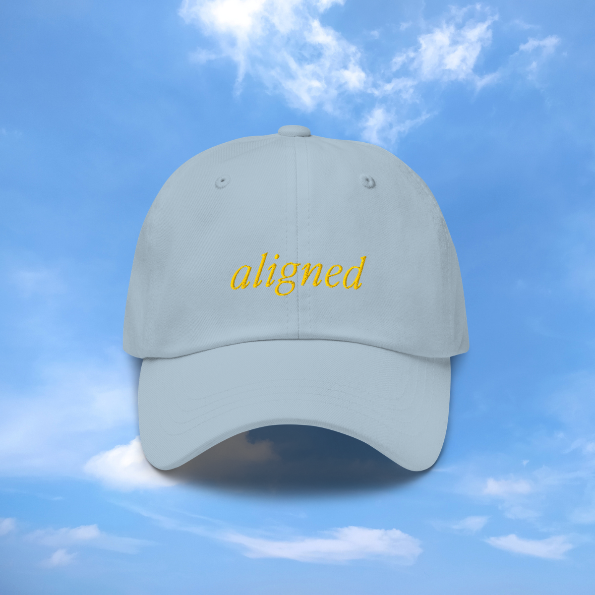 The Aligned Hat 1.png