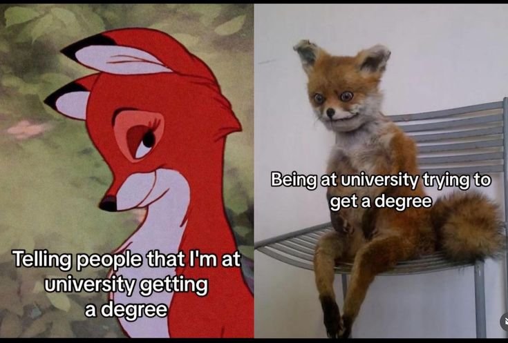 🦊💀.jpeg