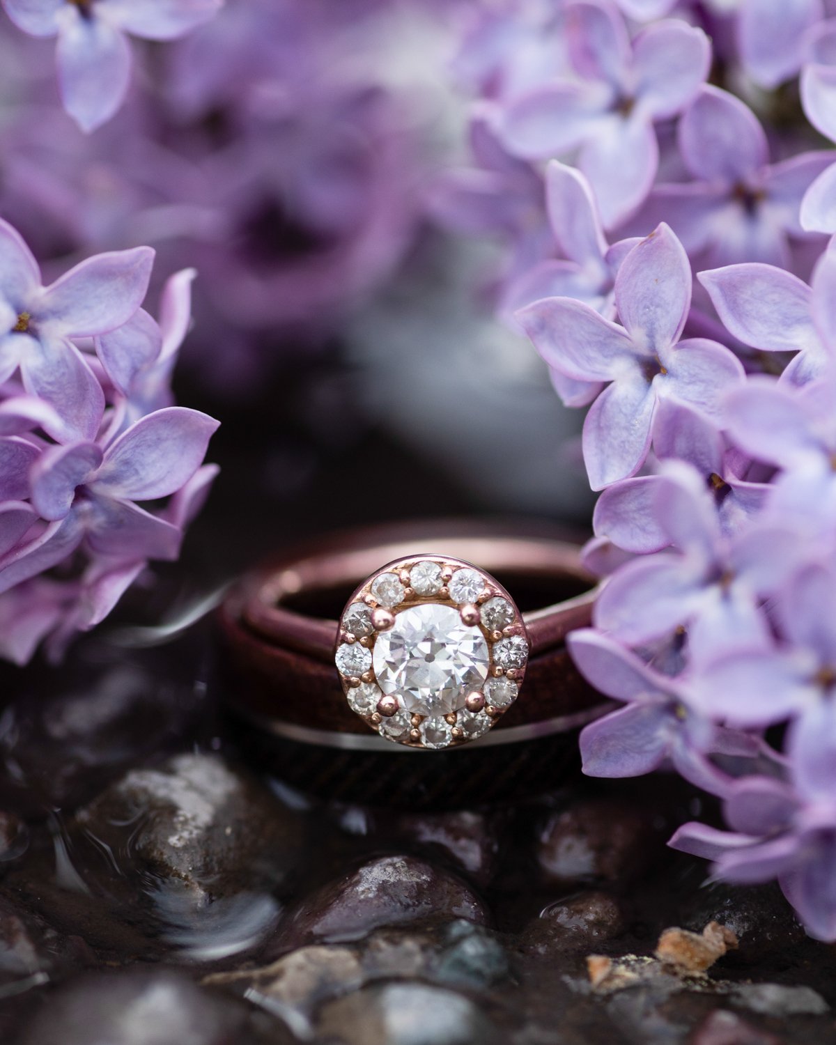 Web Wedding Portrait Photographer Brian Powers-121.jpg
