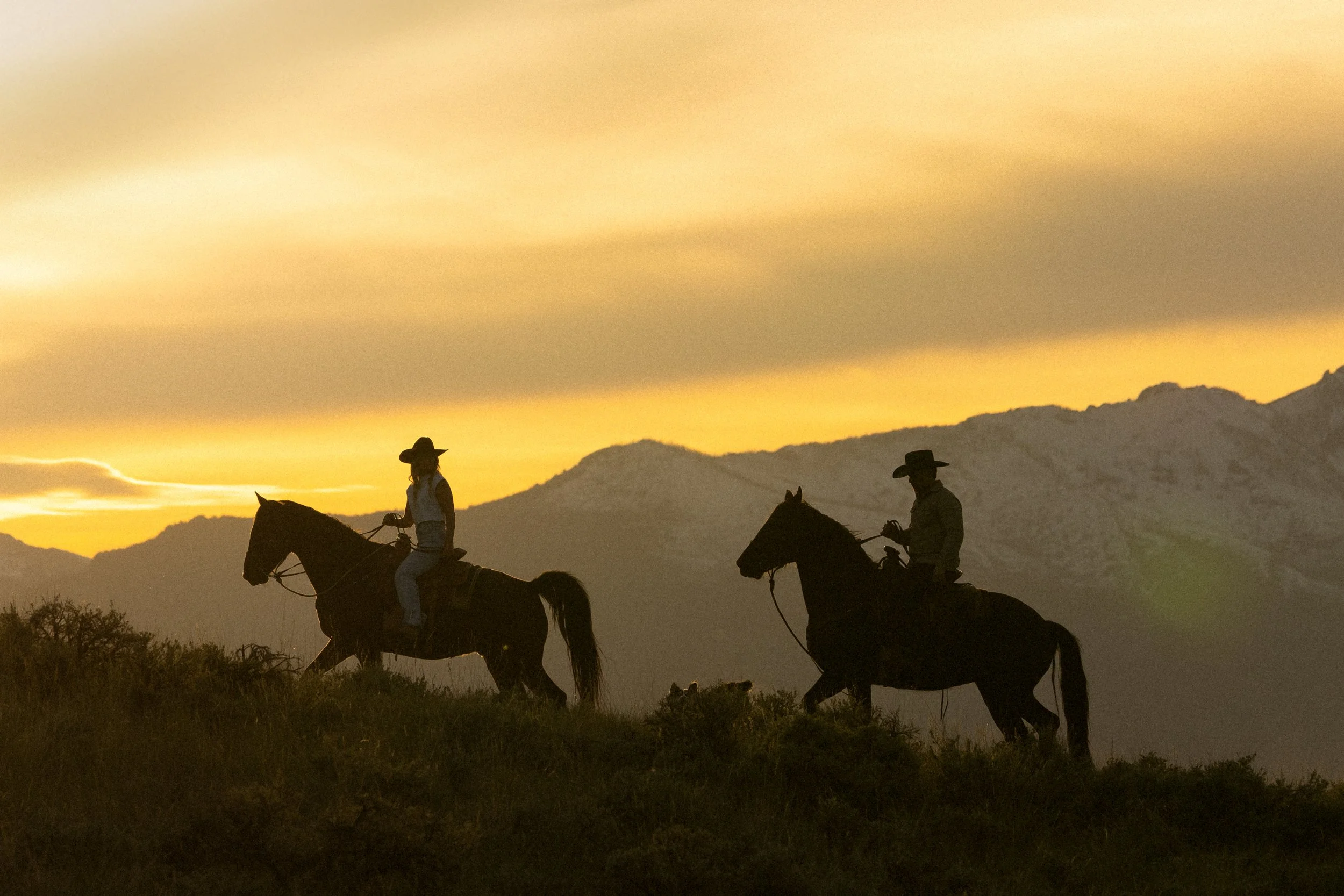 Montana Golden Hour Engagement Session with Horses &amp; Epic Mountain Backdrop | Elopement Photographer Brian Powers