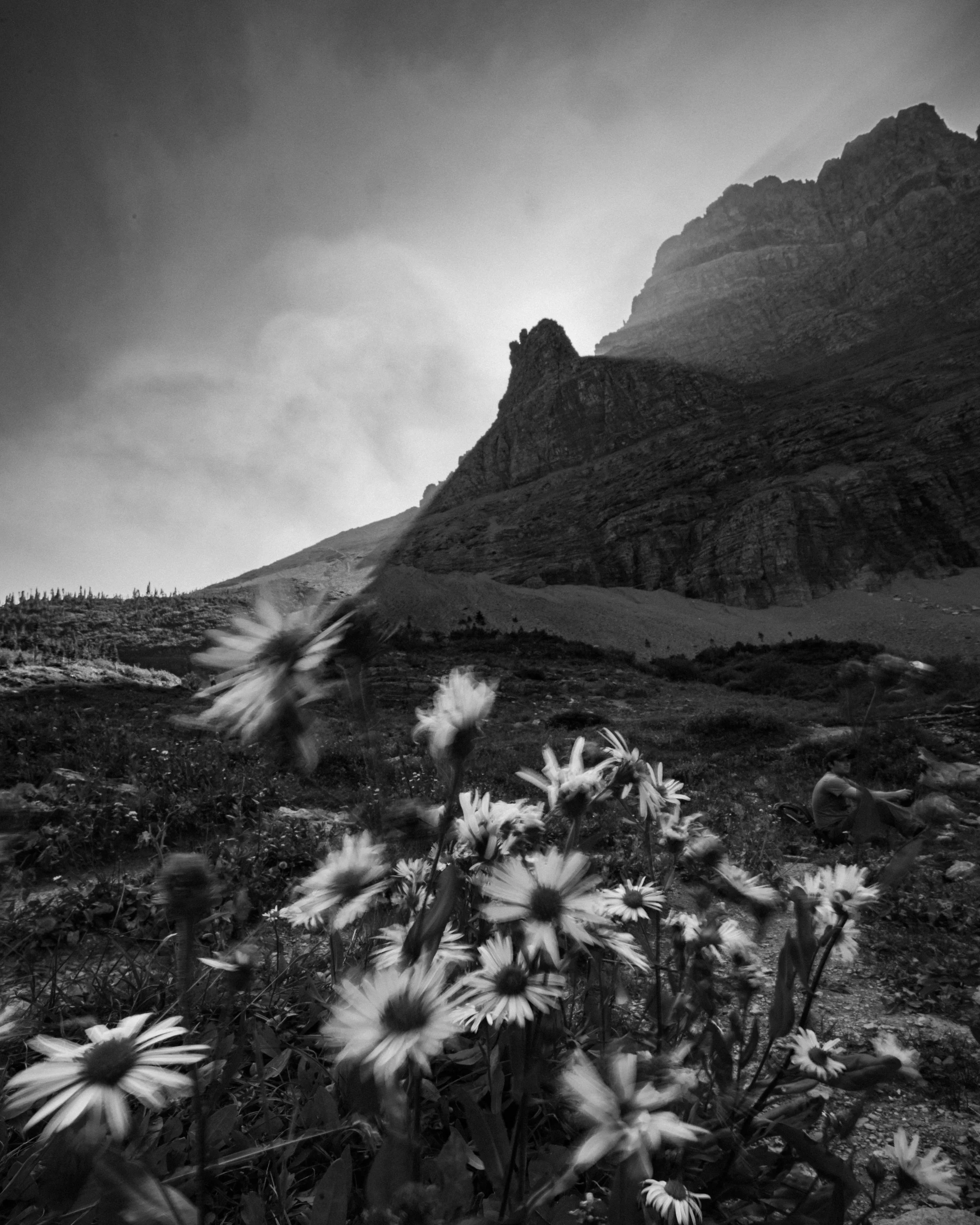 Glacier National Park - Copyright Brian Powers-20.jpg