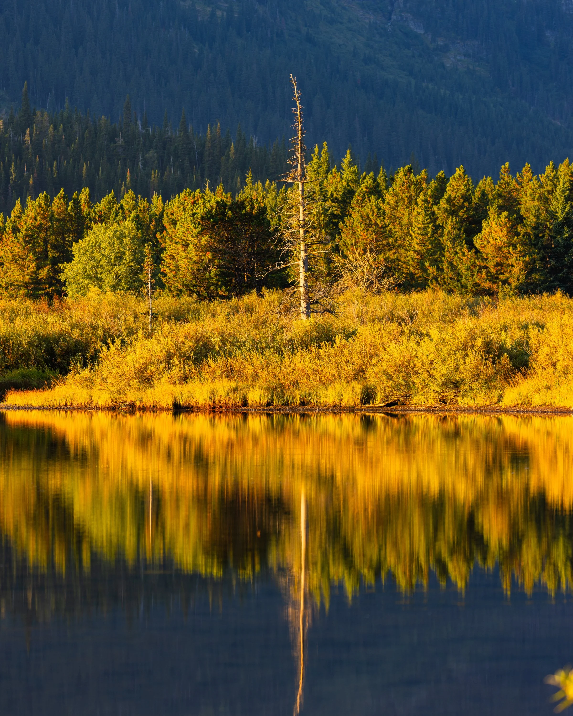 Glacier National Park - Copyright Brian Powers-14.jpg