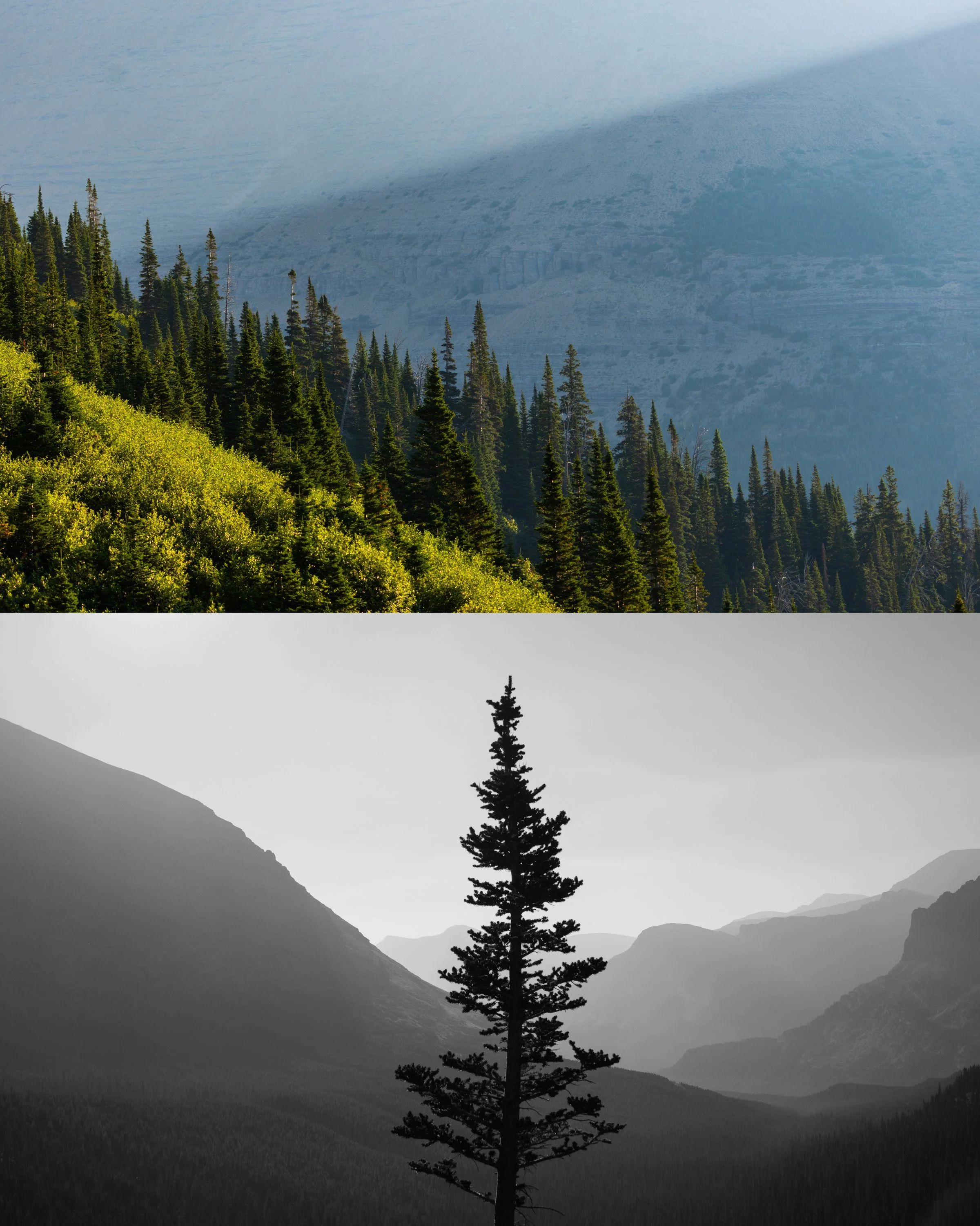 Glacier National Park - Copyright Brian Powers-16.jpg