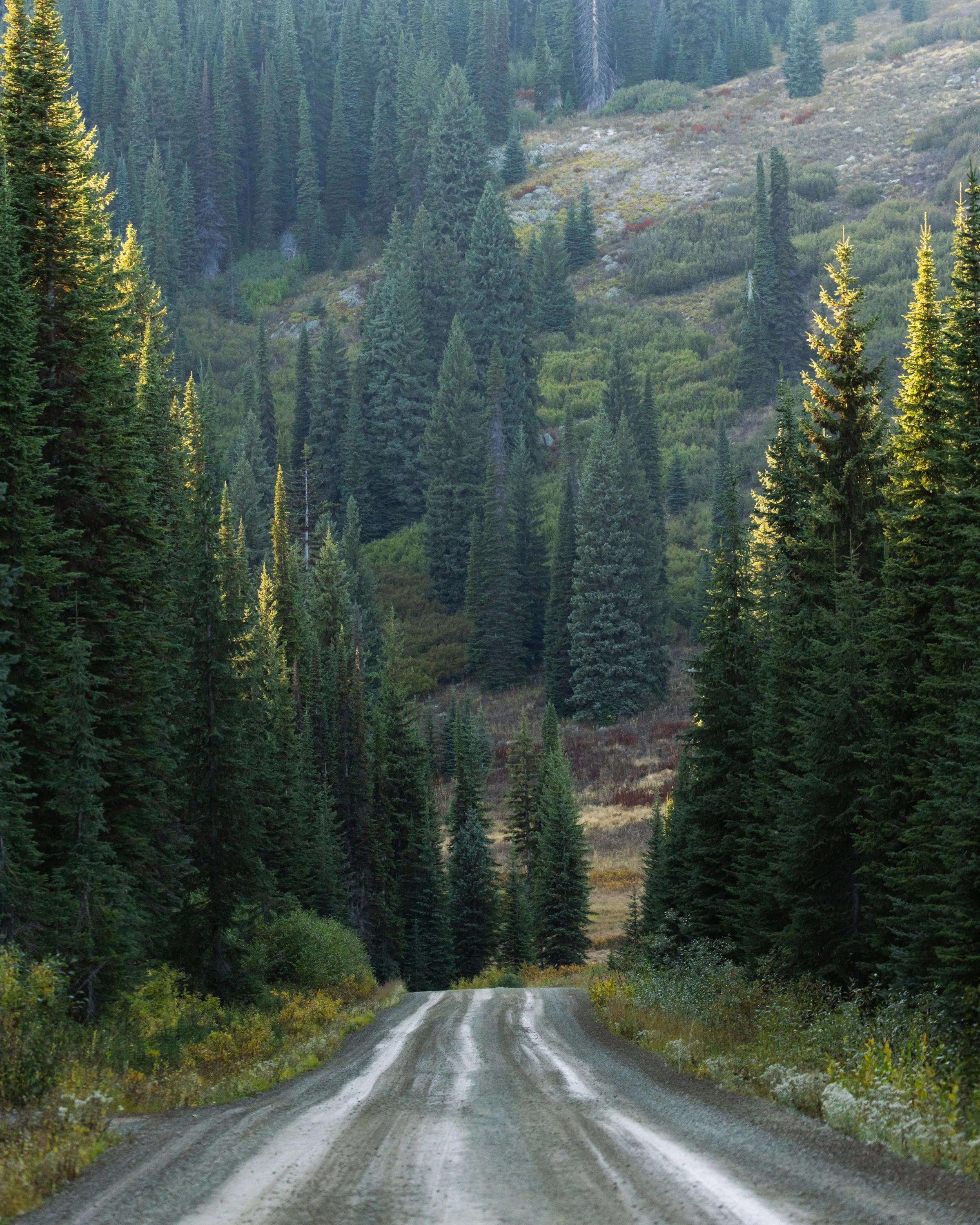 Justin Windham - Outdoor Lifestyle Fishing Images Montana Photographer Brian Powers-11.jpg