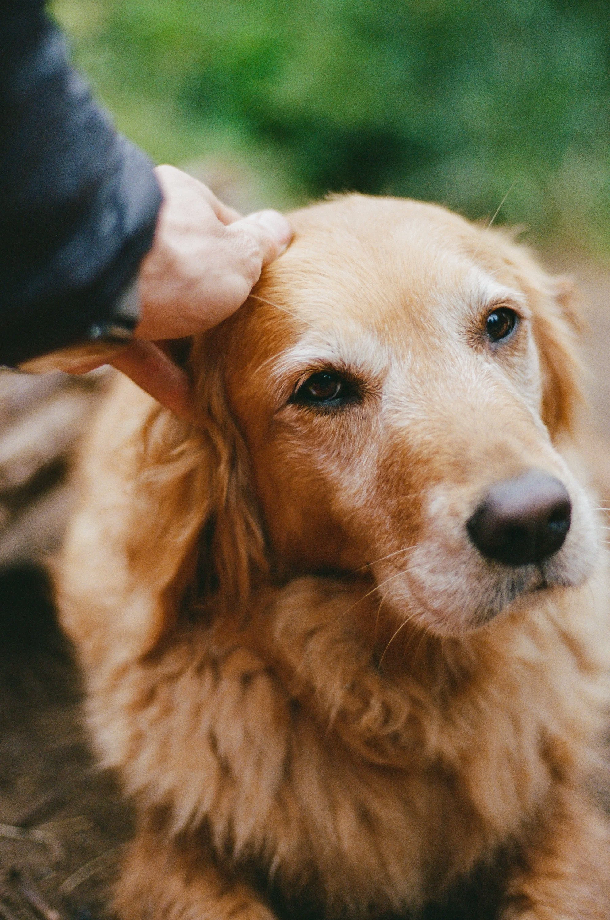 Lifestyle Film Photography Montana Brian Powers-3.jpg