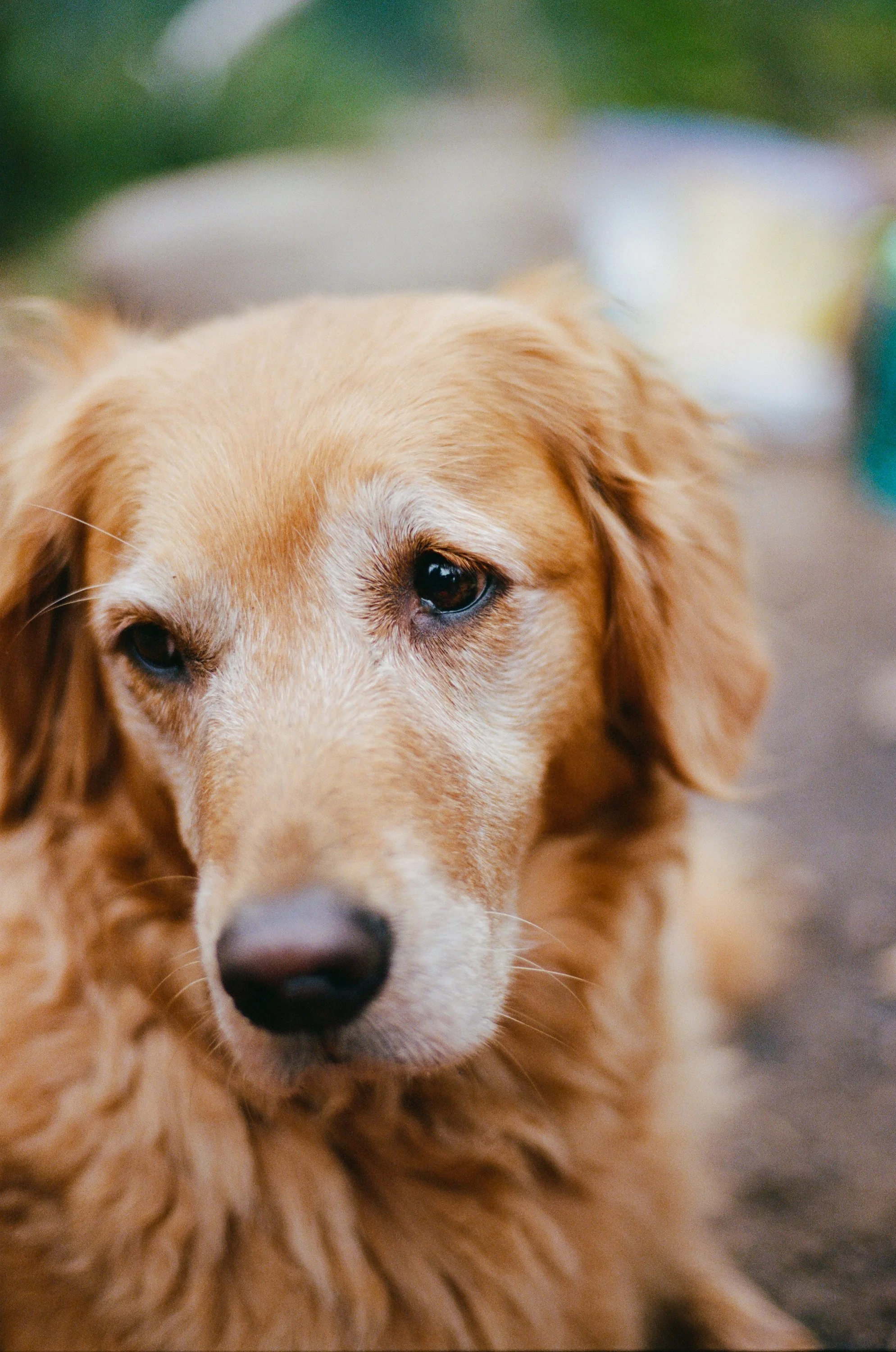 Lifestyle Film Photography Montana Brian Powers-6.jpg