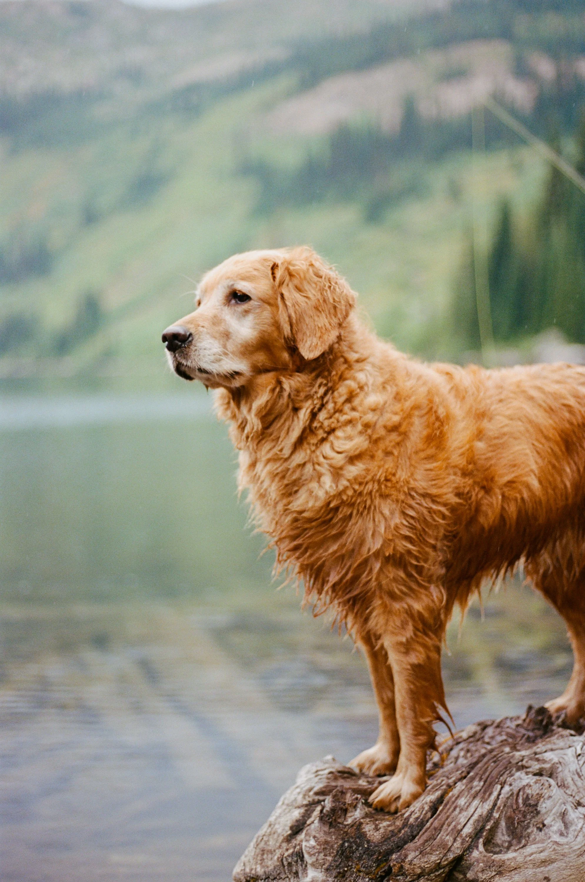 Lifestyle Film Photography Montana Brian Powers-9.jpg