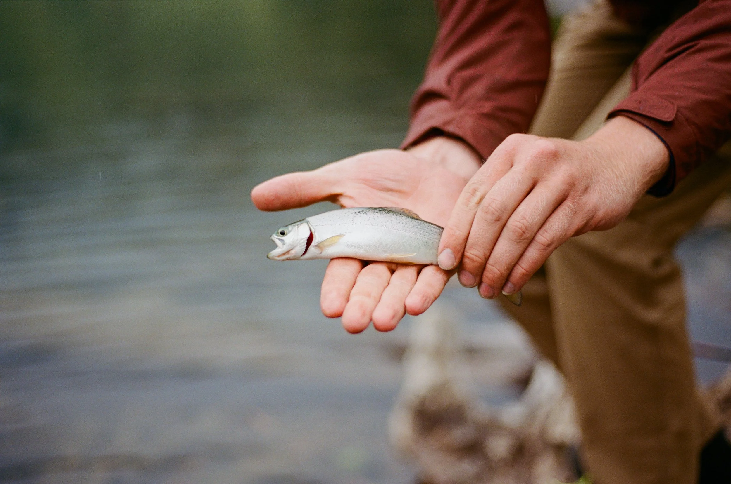 Lifestyle Film Photography Montana Brian Powers-10.jpg