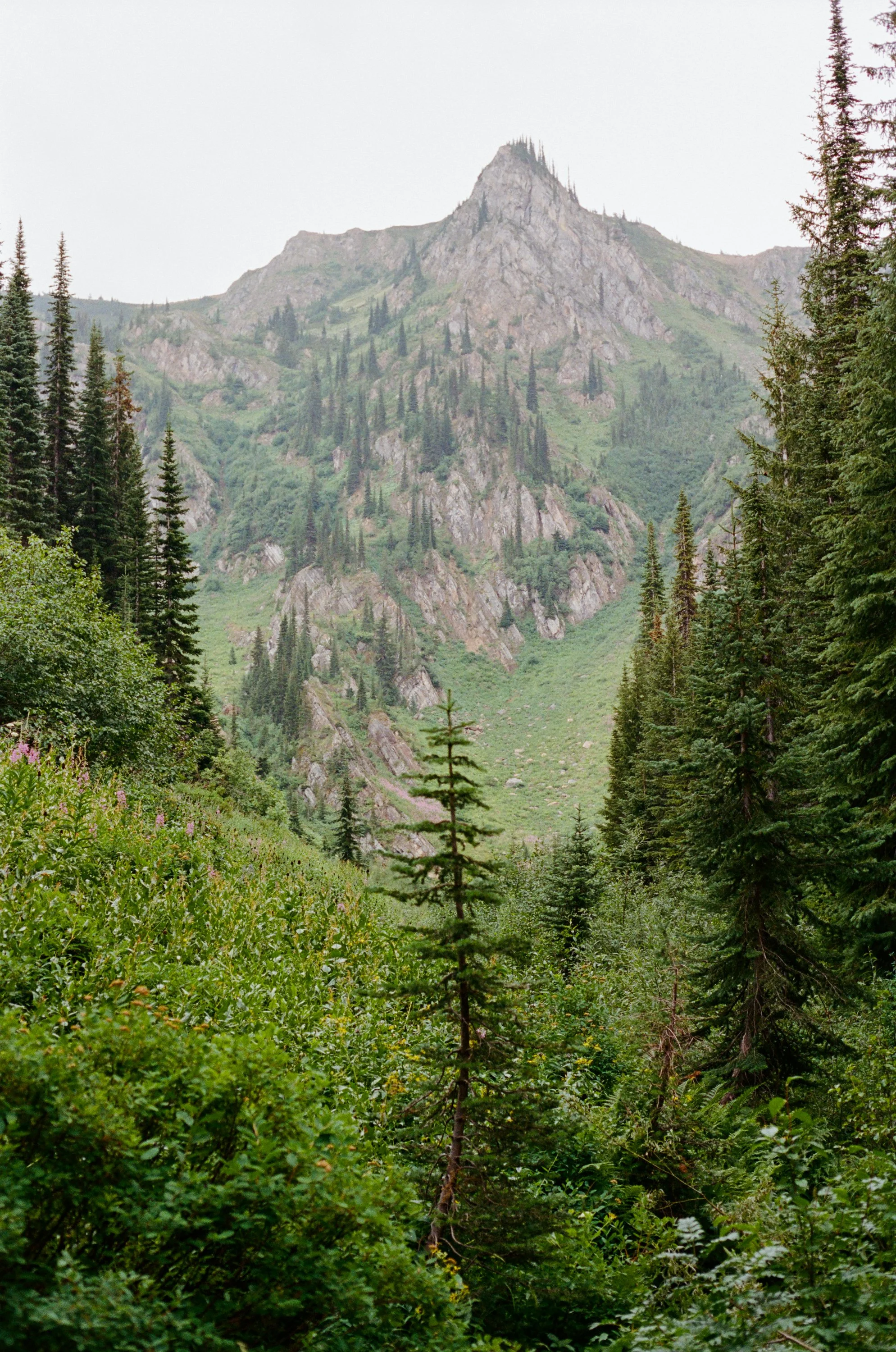 Lifestyle Film Photography Montana Brian Powers-12.jpg