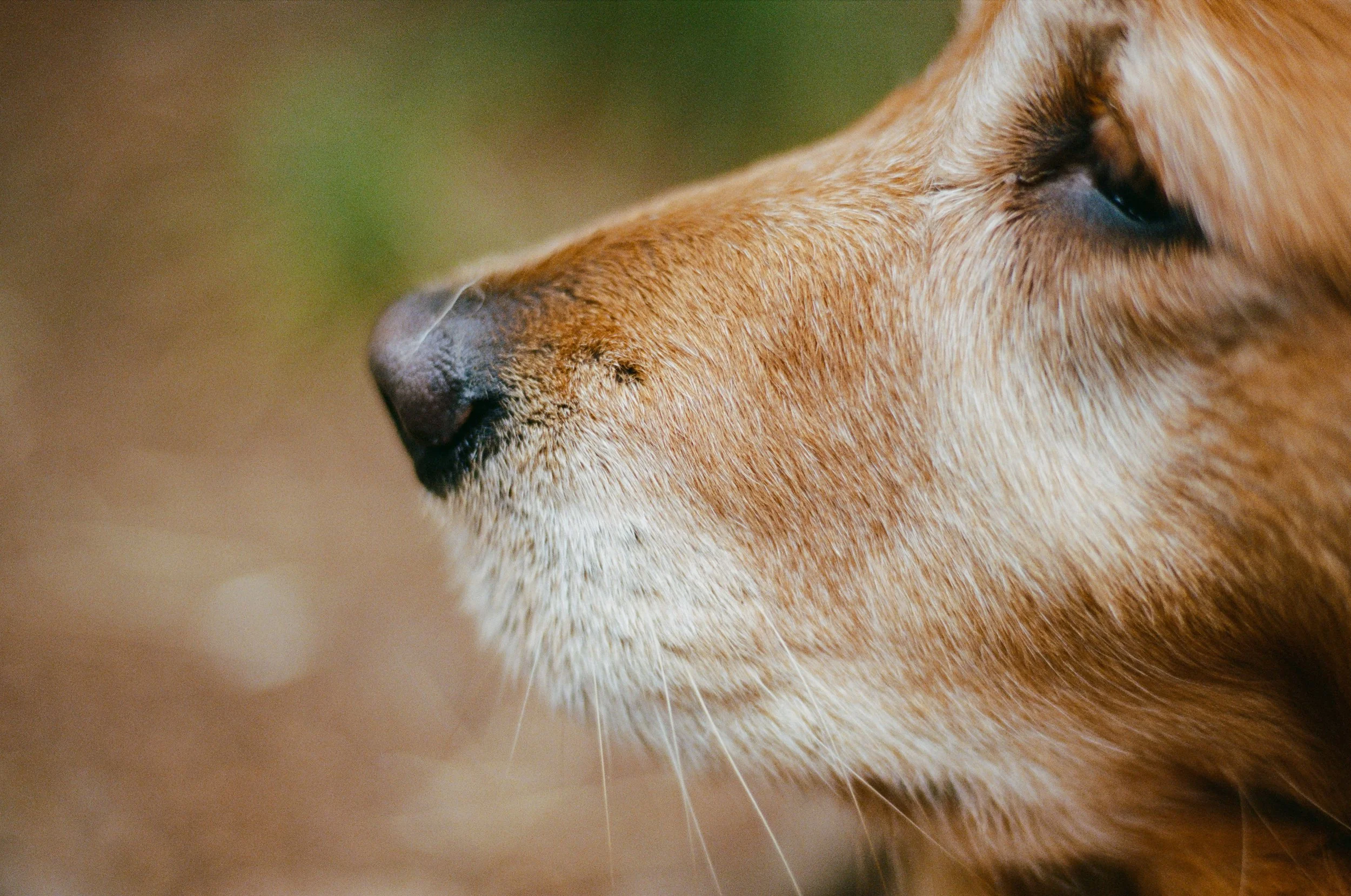 Lifestyle Film Photography Montana Brian Powers-23.jpg