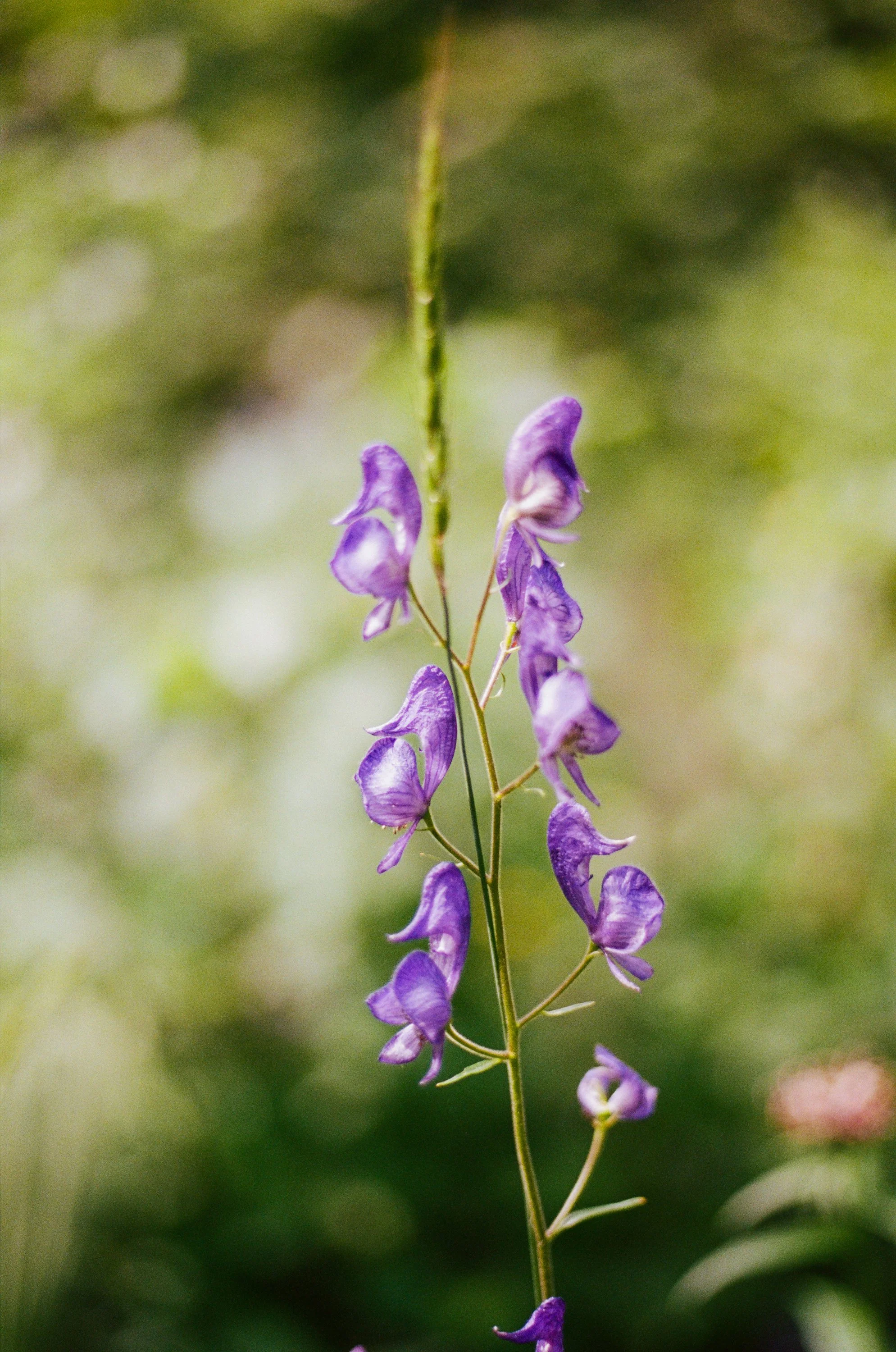 Lifestyle Film Photography Montana Brian Powers-24.jpg