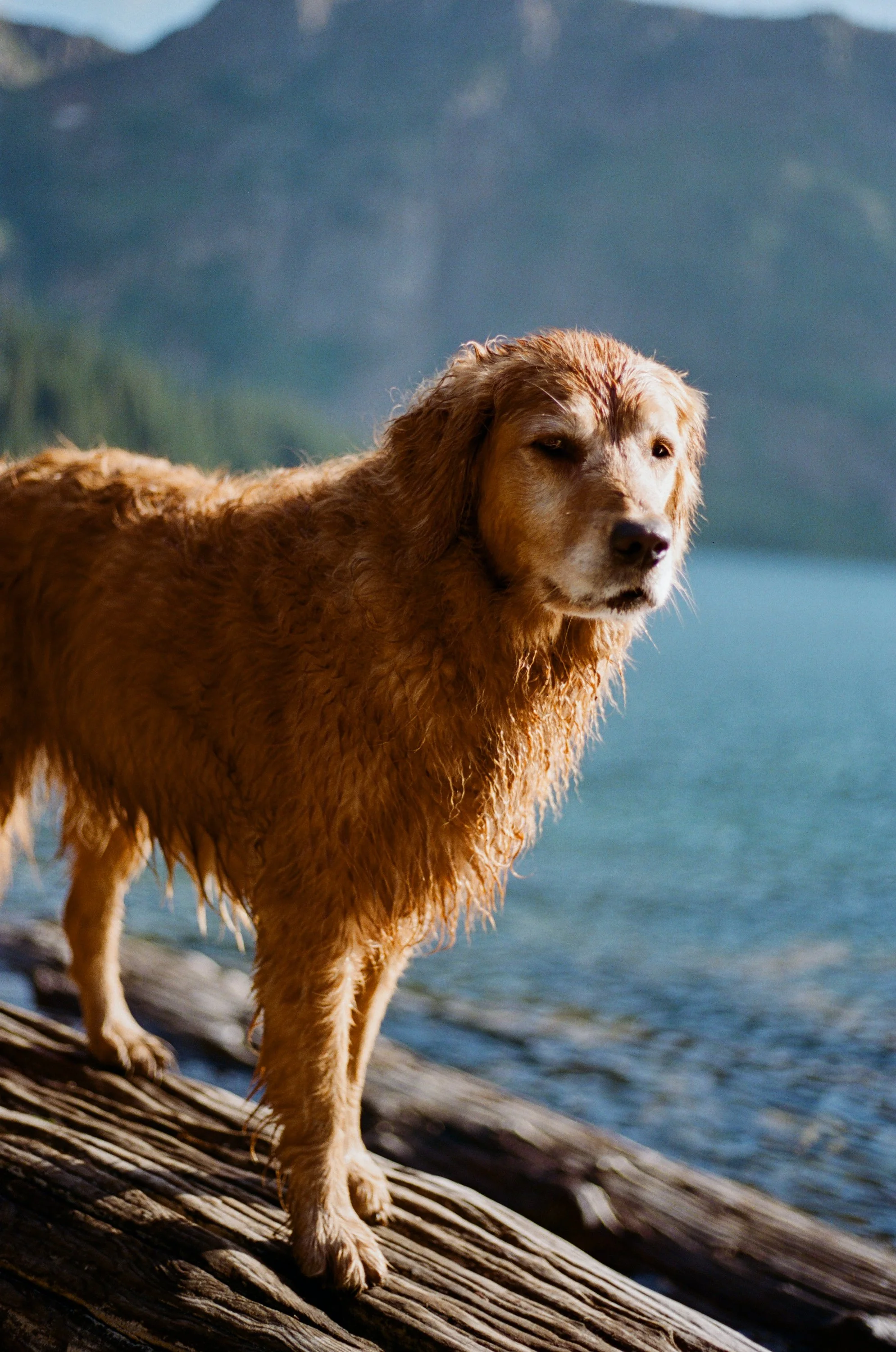 Lifestyle Film Photography Montana Brian Powers-39.jpg