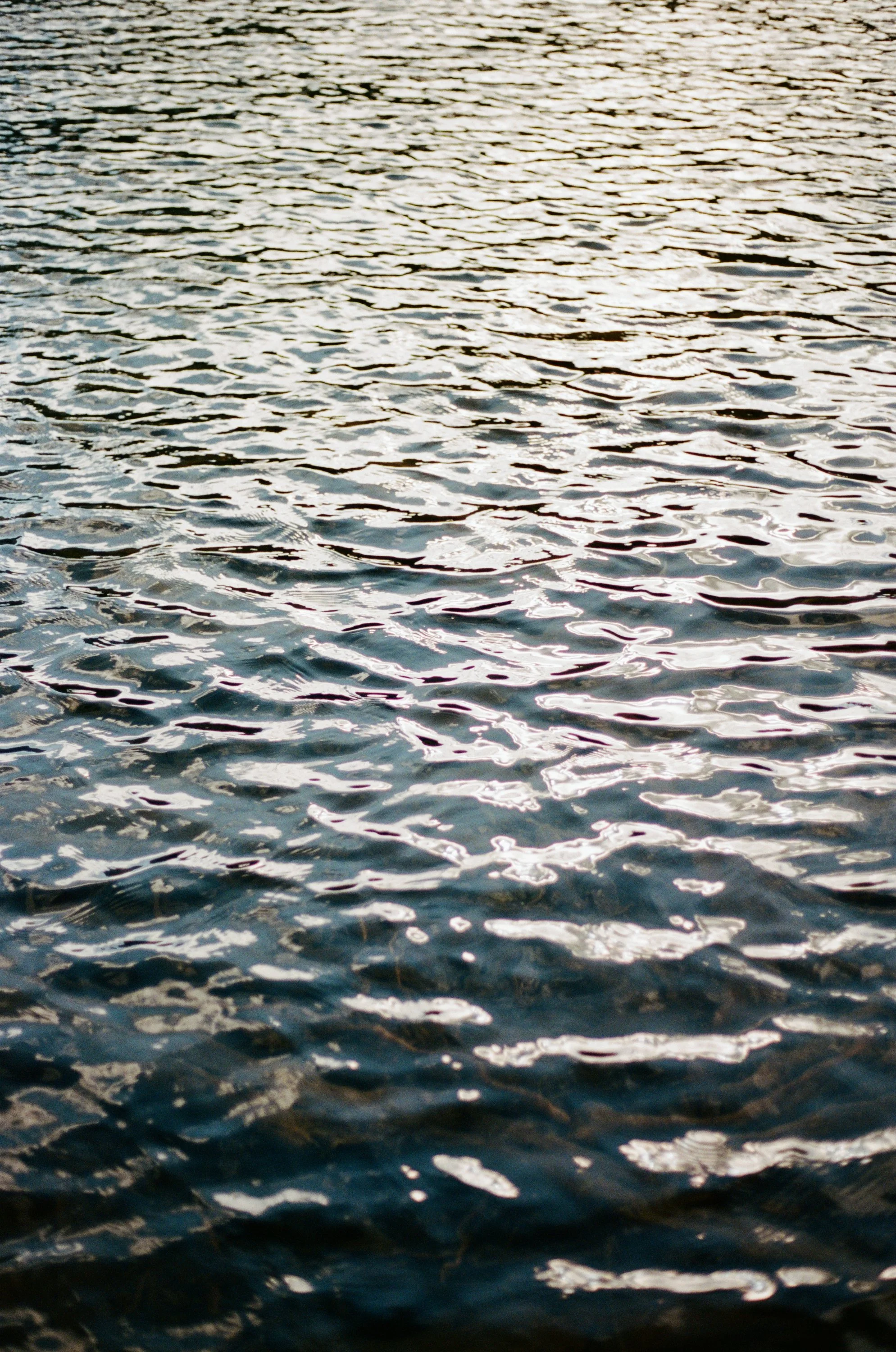 Lifestyle Film Photography Montana Brian Powers-40.jpg