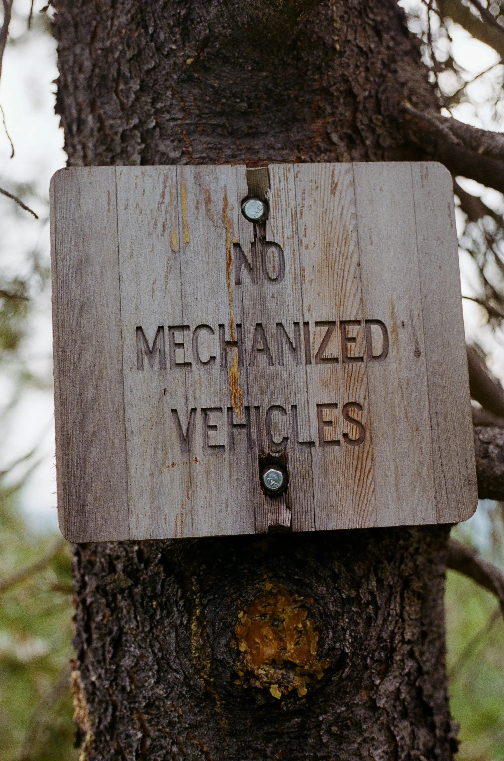 Lifestyle Film Photography Montana Brian Powers-44.jpg