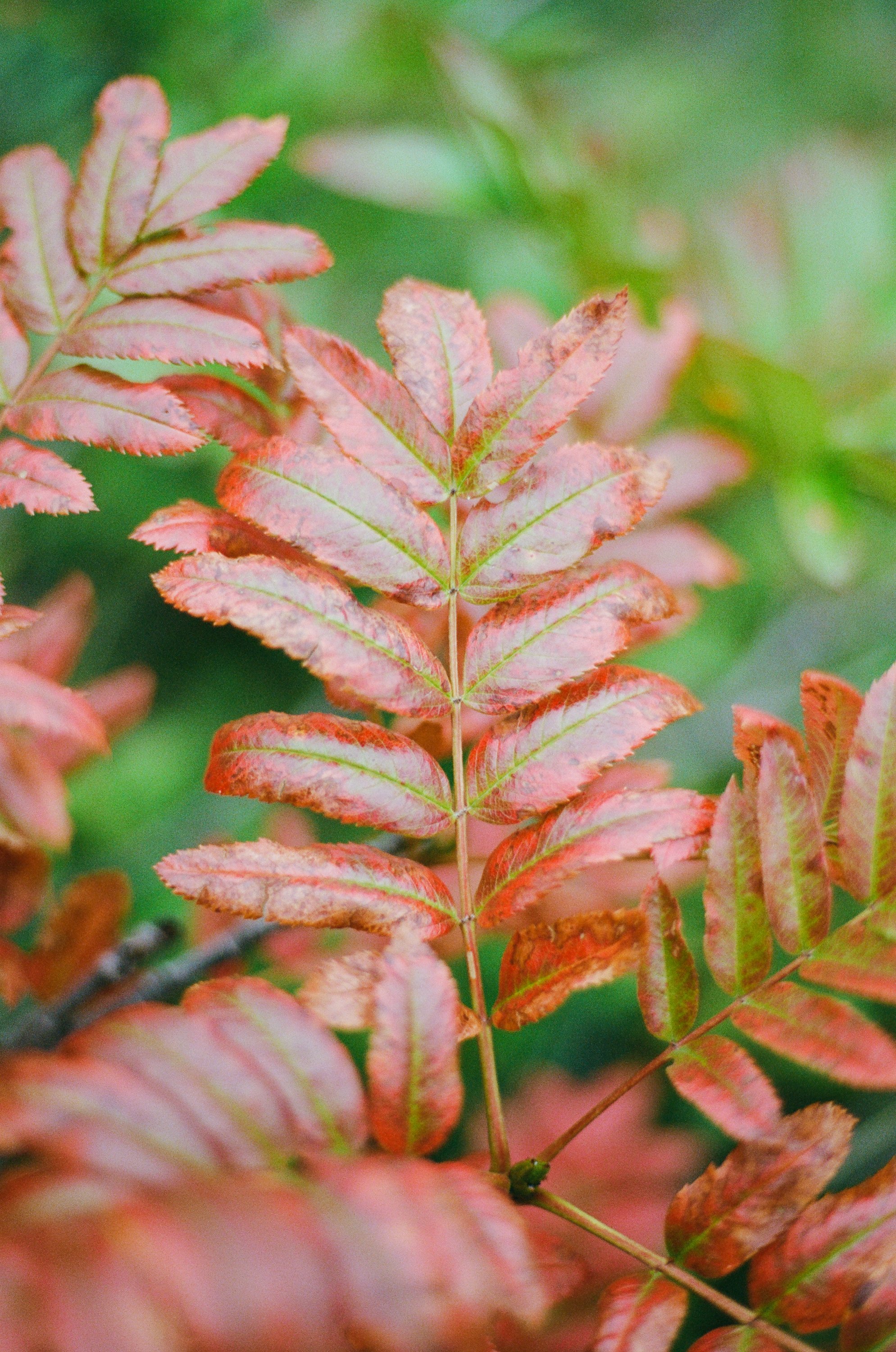 Lifestyle Film Photography Montana Brian Powers-46.jpg