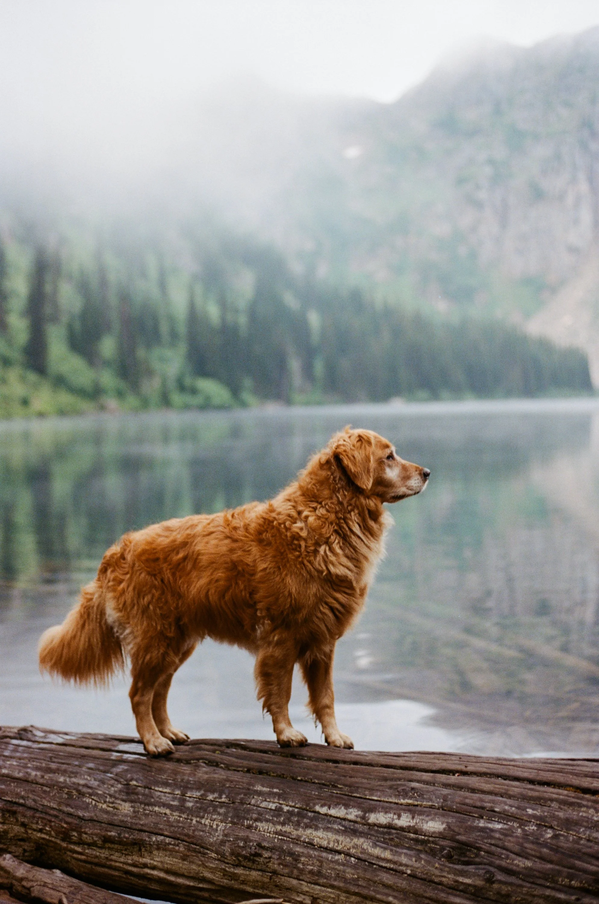 Lifestyle Film Photography Montana Brian Powers-51.jpg