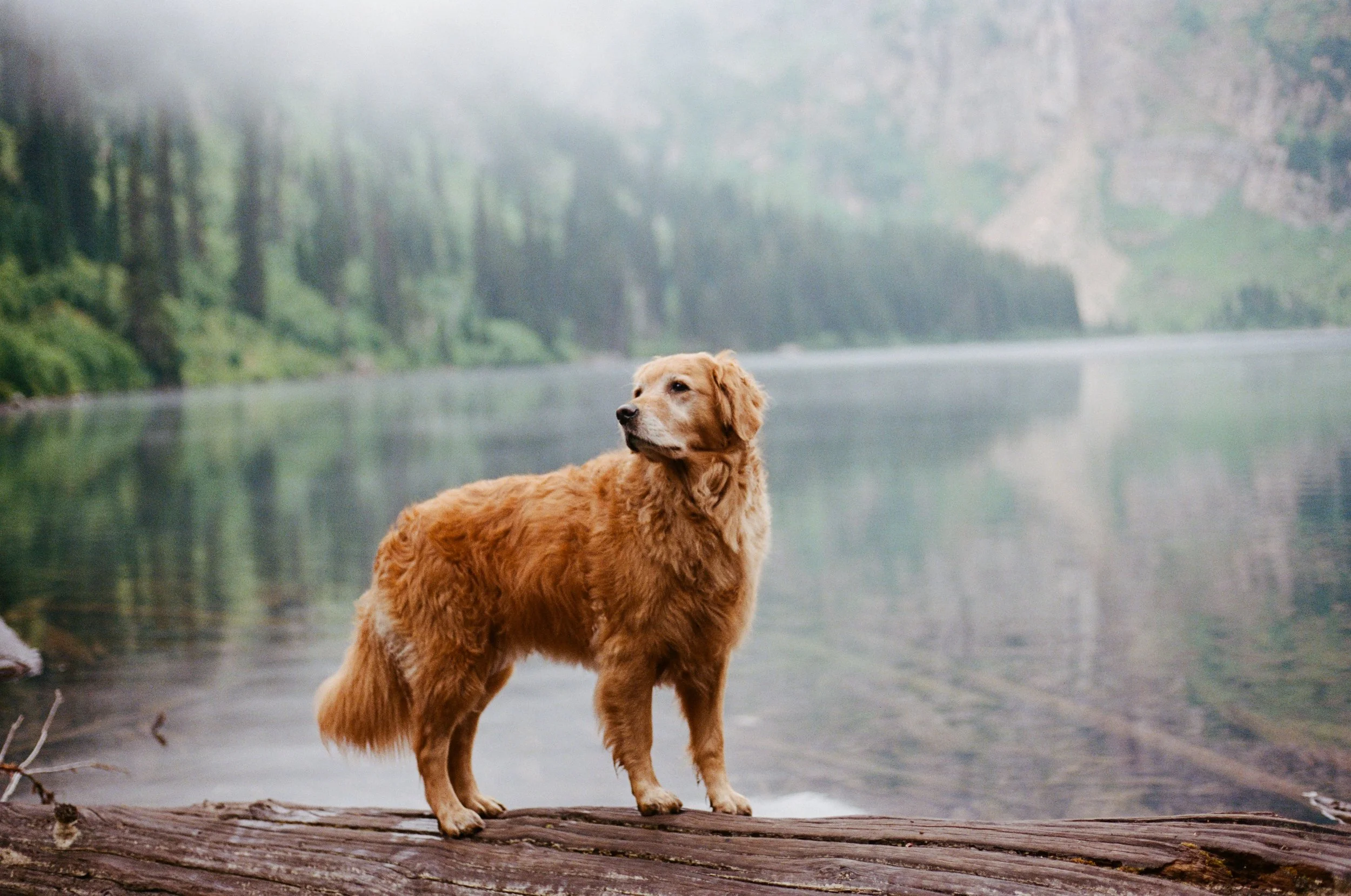 Lifestyle Film Photography Montana Brian Powers-52.jpg