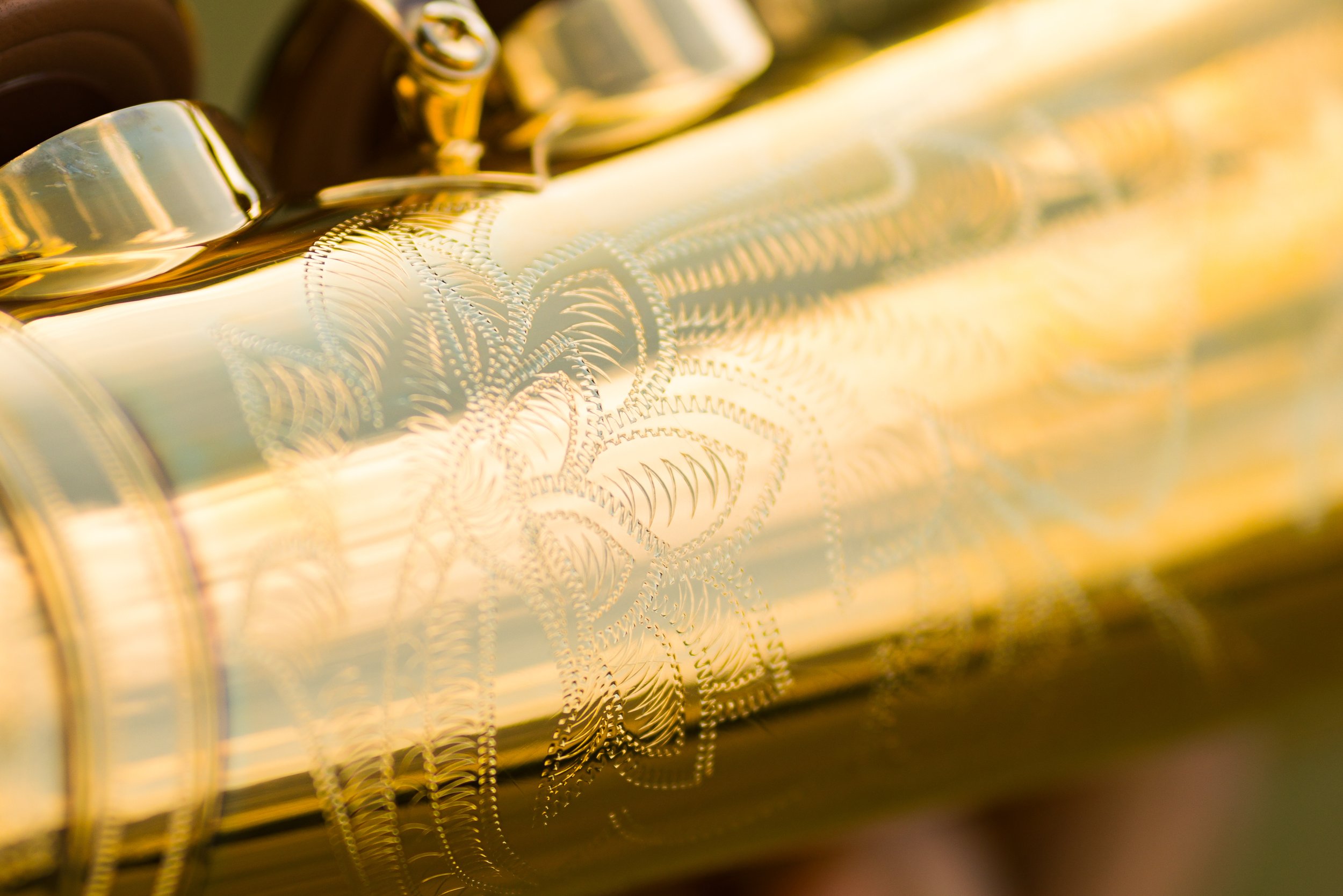 wonkileesaxophonist Portrait Photography Montana Brian Powers-6.jpg