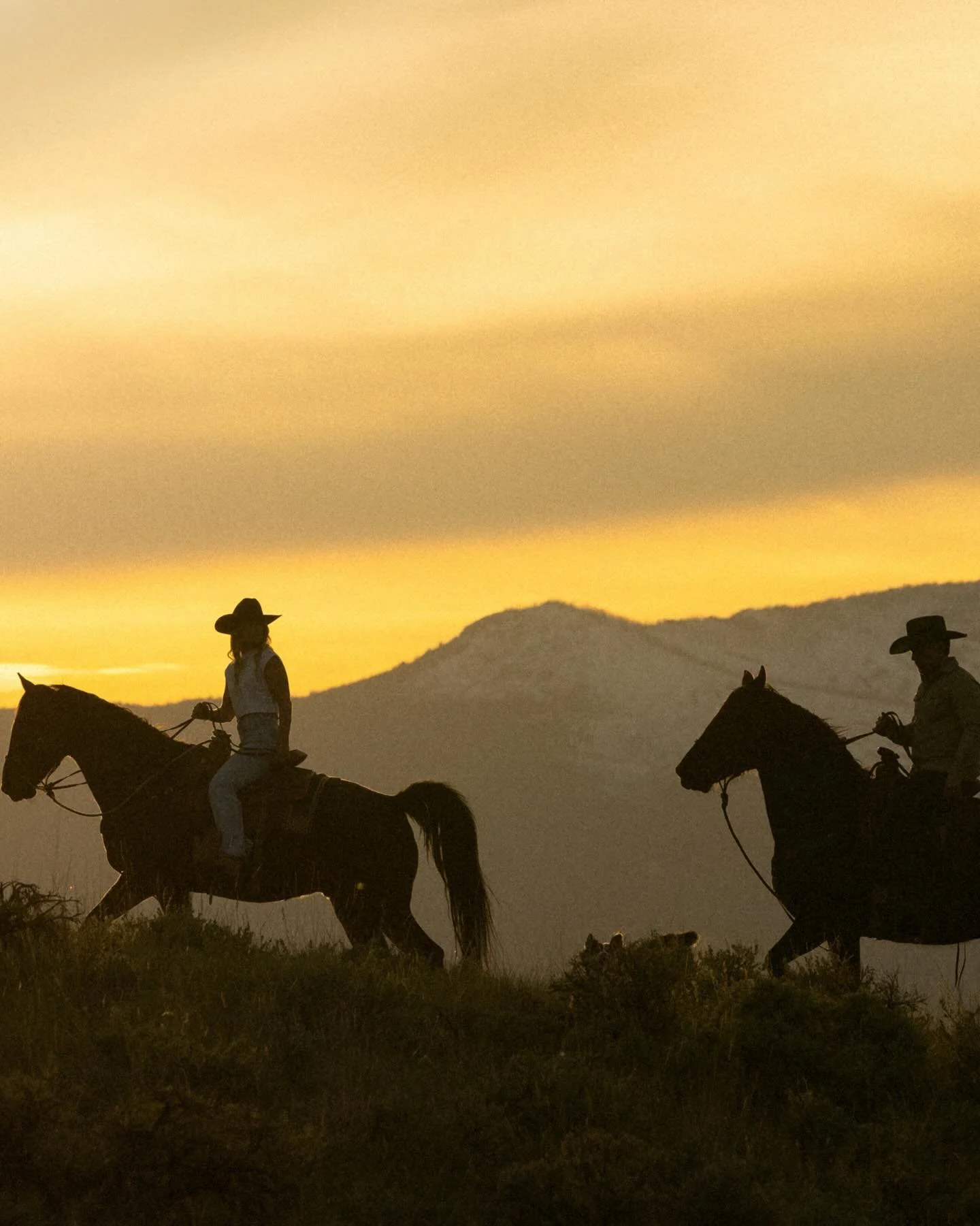 Nothing beats a Montana love story in golden hour. 

What a fun time shooting with Sarah &amp; Blayne and their fur fam! Great time with Great people. 

#montanamountains #montanaengagements #lovestory 

@brianpowers