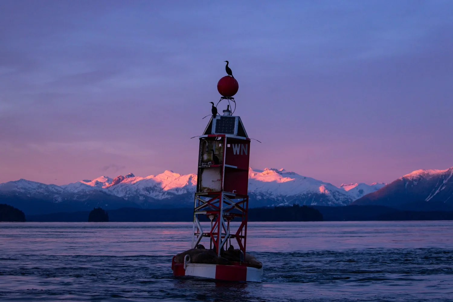 Web Thanks Alaska Commercial Brand Photographer Brian Powers-22.jpg